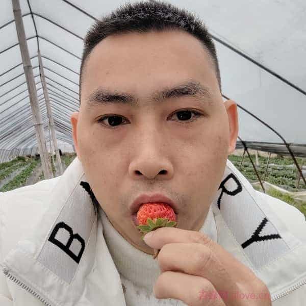 海东征婚相亲网